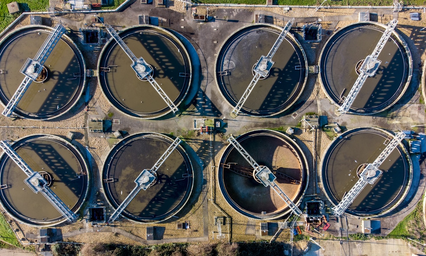 Testimonials: Real Stories of Improved Water Quality